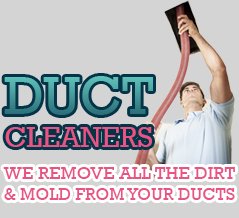 Duct Mold Removal